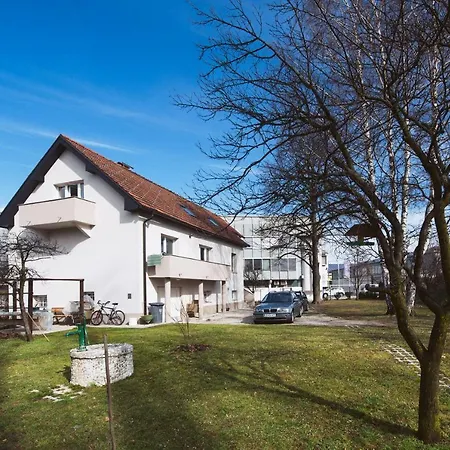 Apartment Lux *