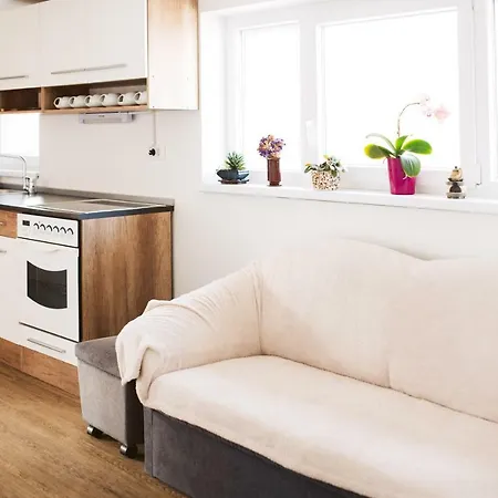 Lux Apartment Celje