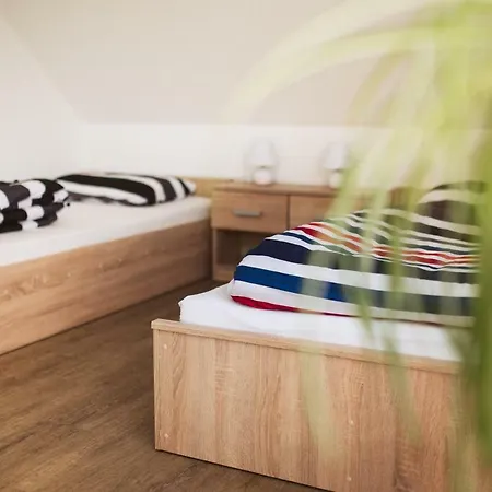 Apartment Lux
